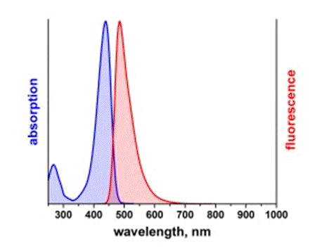 Absorbance and Fluorescence Emission